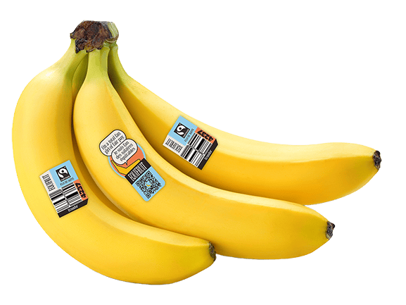 Equifruit Fairtrade certified bananas with product labels