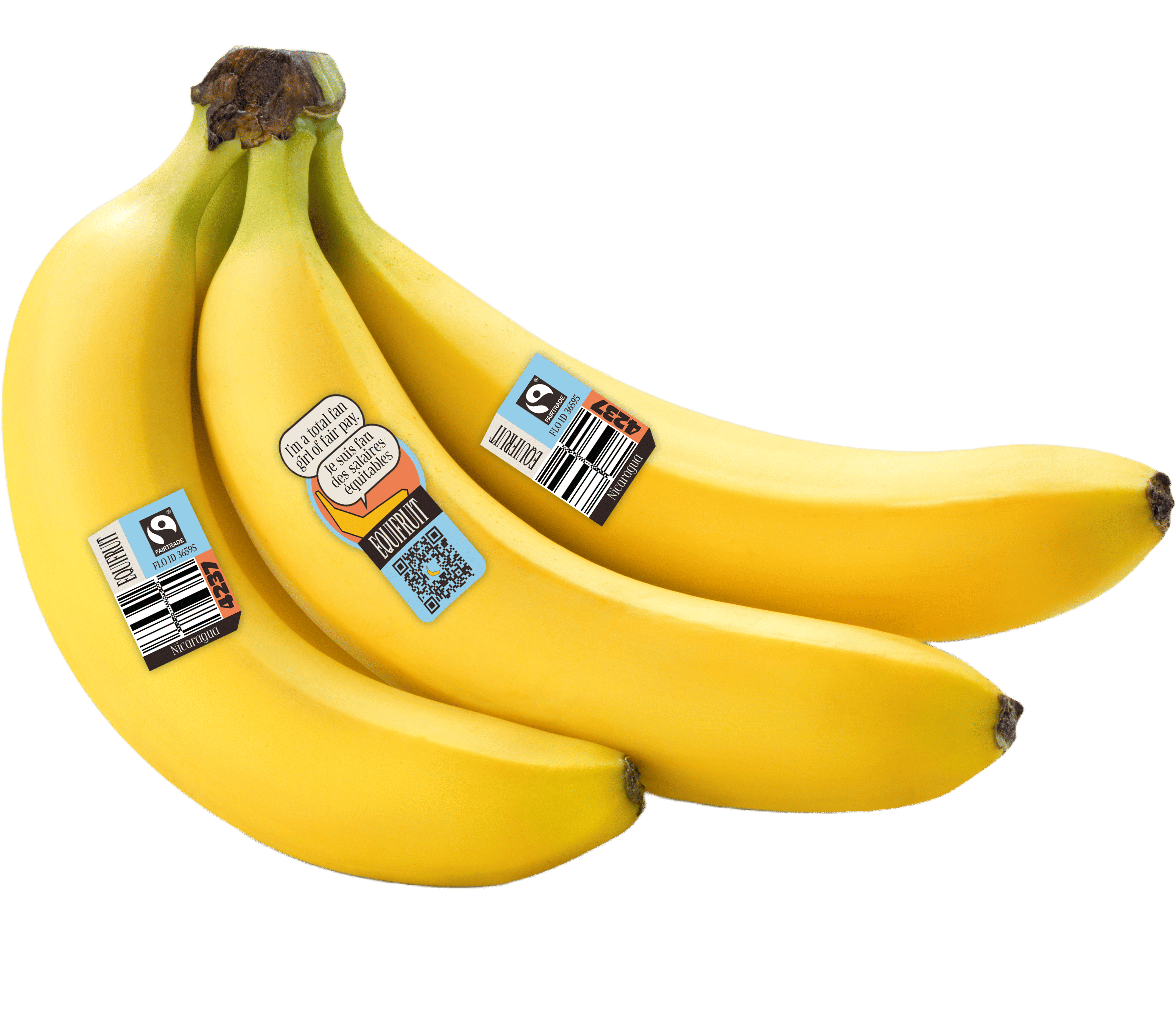 Equifruit Fairtrade certified bananas with product labels on transparent background