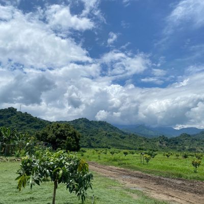 Biodiversity conservation initiative with Fairtrade Premium funding in tropical agricultural region